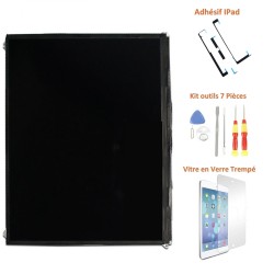 pantalla LCD iPad 2 barata