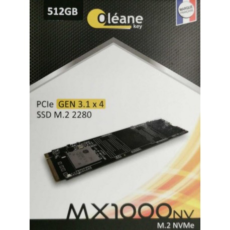 SSD OLEANE KEY MARCA FRANCES 2.5" MX1000 Nvme256Gb