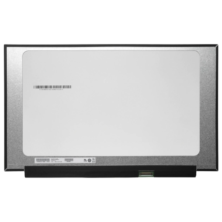 Écran ordinateur portable universel LCD 15,6" résolution 1920 x 1080 pixels