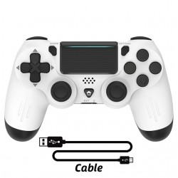 Cheap PS4 controller