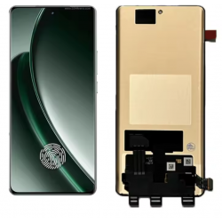 repair Screen Realme GT 6 / GT 6T